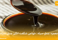معجزه عسل سیاه | خواص شگفت انگیز عسل سیاه