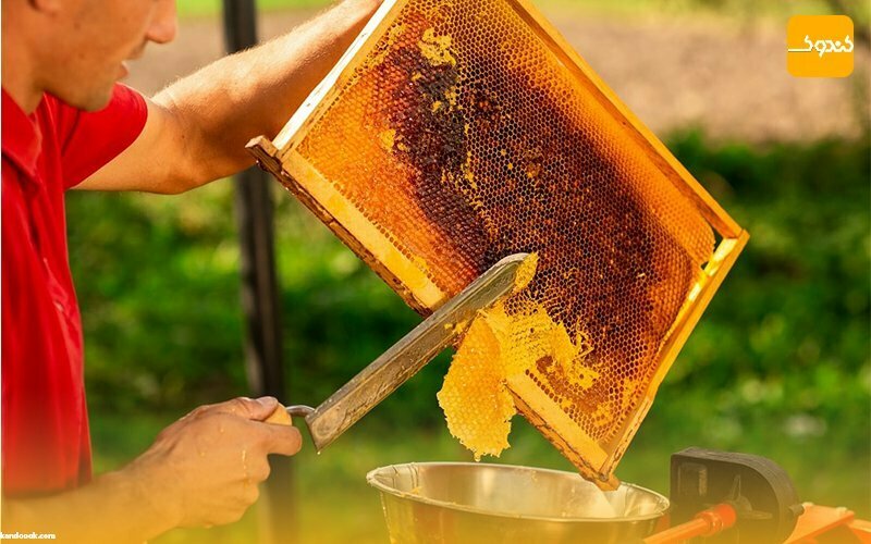 چرا عسل طبیعی باید در برنامه هر روز مان باشد ؟
