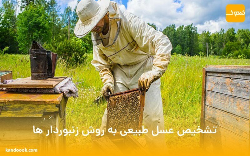 تشخیص عسل طبیعی به روش زنبوردار ها