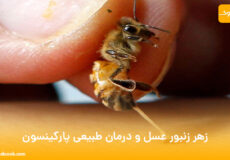 زهر زنبور عسل و درمان طبیعی پارکینسون
