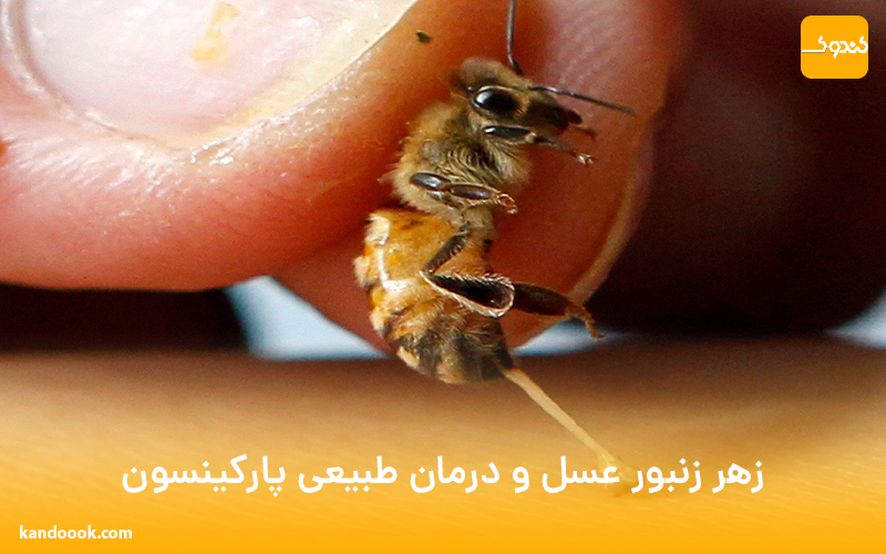 زهر زنبور عسل و درمان طبیعی پارکینسون
