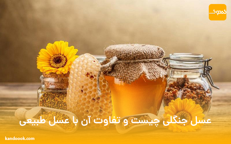 عسل جنگلی چیست و تفاوت آن با عسل طبیعی