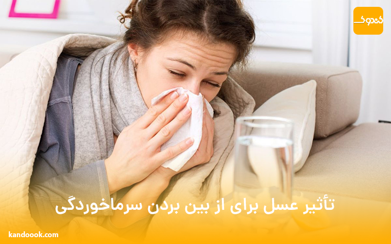 تأثیر عسل برای از بین بردن سرماخوردگی