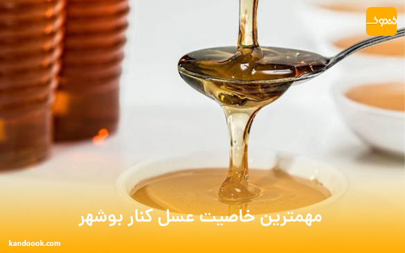 مهمترین خاصیت عسل کنار بوشهر