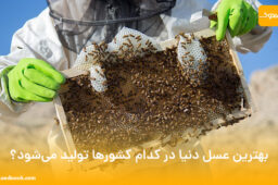 بهترین عسل دنیا در کدام کشورها تولید می‌شود؟