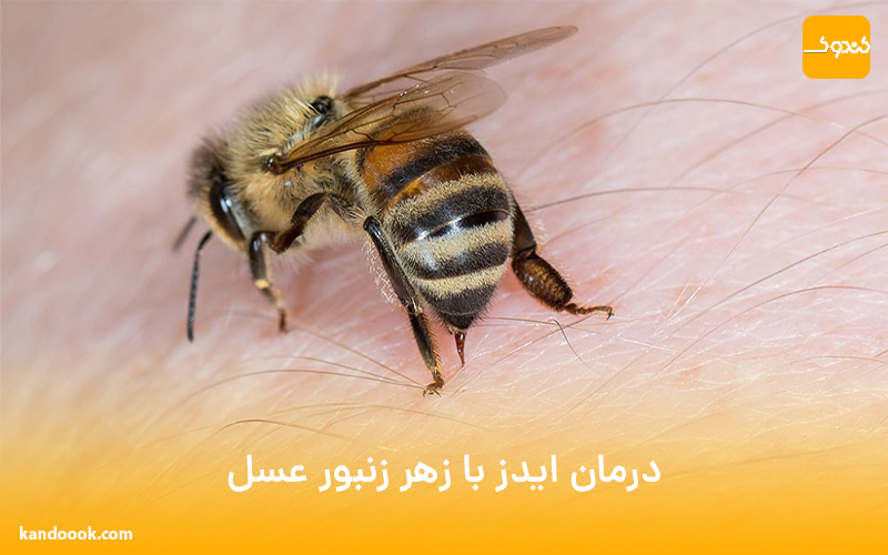 درمان ایدز با زهر زنبور عسل