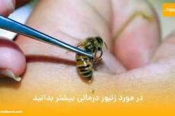 در مورد زنبور درمانی بیشتر بدانید
