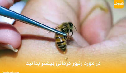 در مورد زنبور درمانی بیشتر بدانید