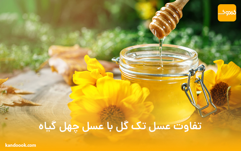 تفاوت عسل تک گل با عسل چهل گیاه + تشخص انواع عسل