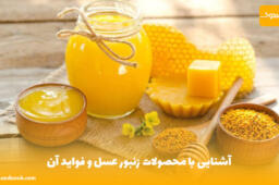 آشنایی با محصولات زنبور عسل و فواید آن