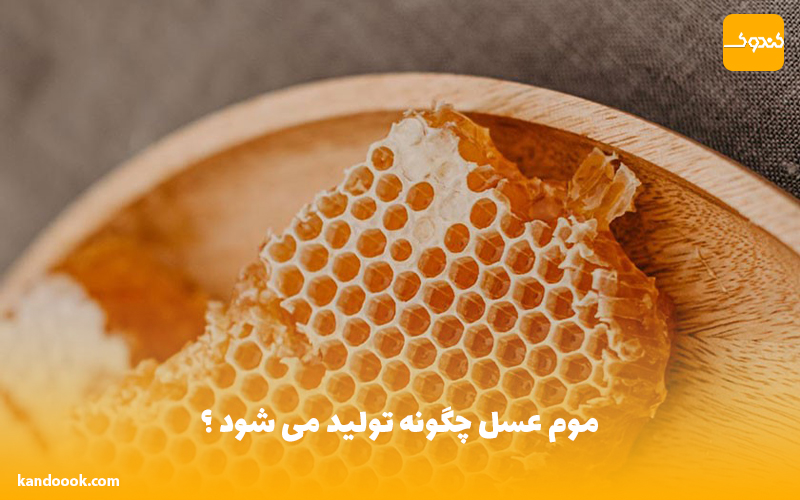 موم عسل چگونه تولید می شود ؟