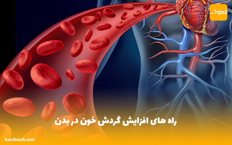 راه های افزایش گردش خون در بدن