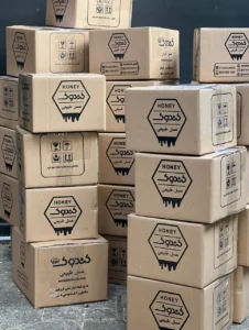 photo_۲۰۲۴-۰۴-۲۲_۱۰-۳۳-۲۱