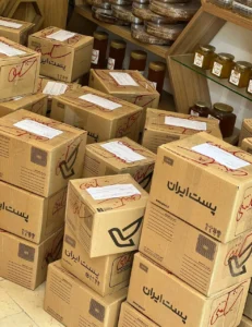 photo_۲۰۲۴-۰۴-۲۲_۱۰-۳۳-۲۷