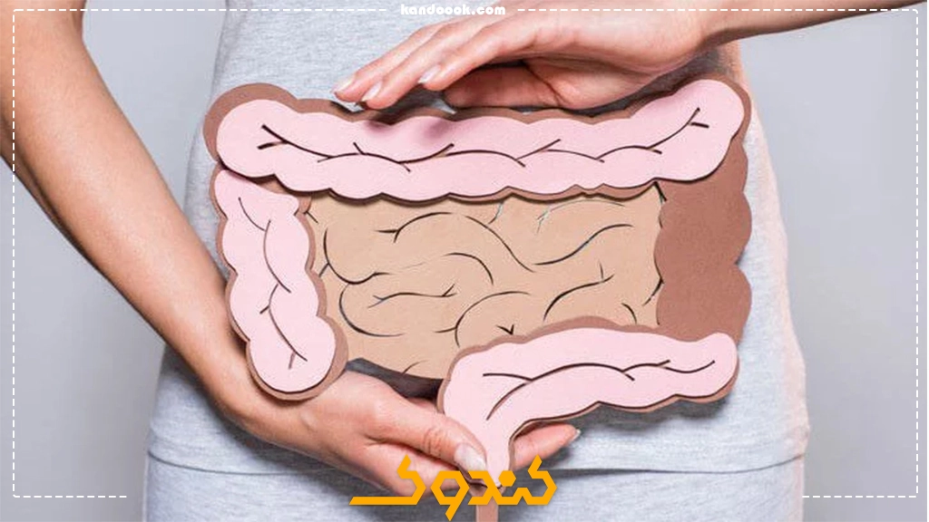 انواع بیماری های دستگاه گوارش چیست و چه علائمی دارند؟