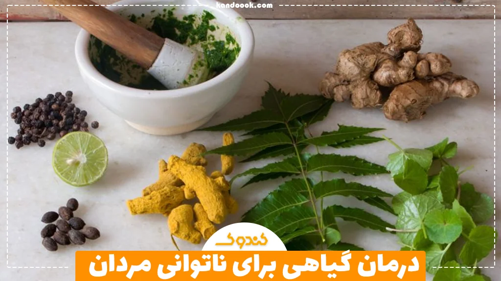 درمان گیاهی برای ناتوانی مردان