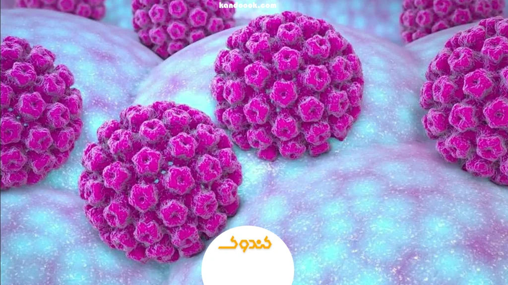 ویروس پاپیلومای انسانی (HPV) در زنان