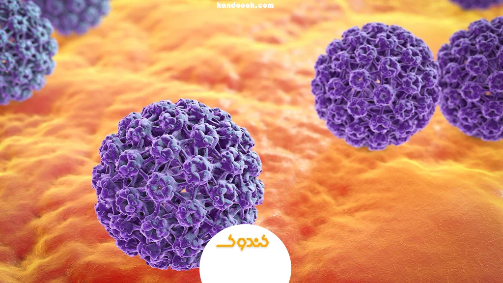 ویروس پاپیلومای انسانی (HPV) چیست؟