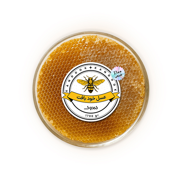 عسل خودبافت کندو سنتی 1700 گرم