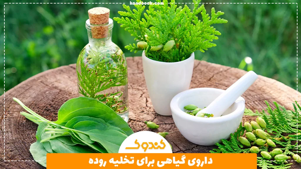 داروی گیاهی برای تخلیه روده