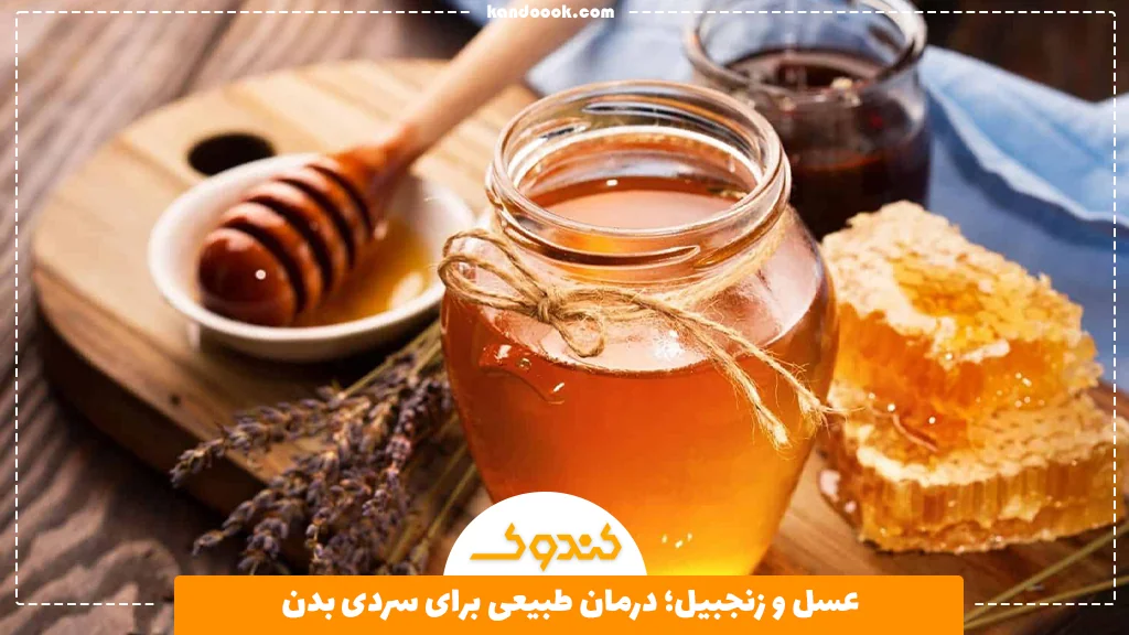 عسل و زنجبیل؛ درمان طبیعی برای سردی بدن