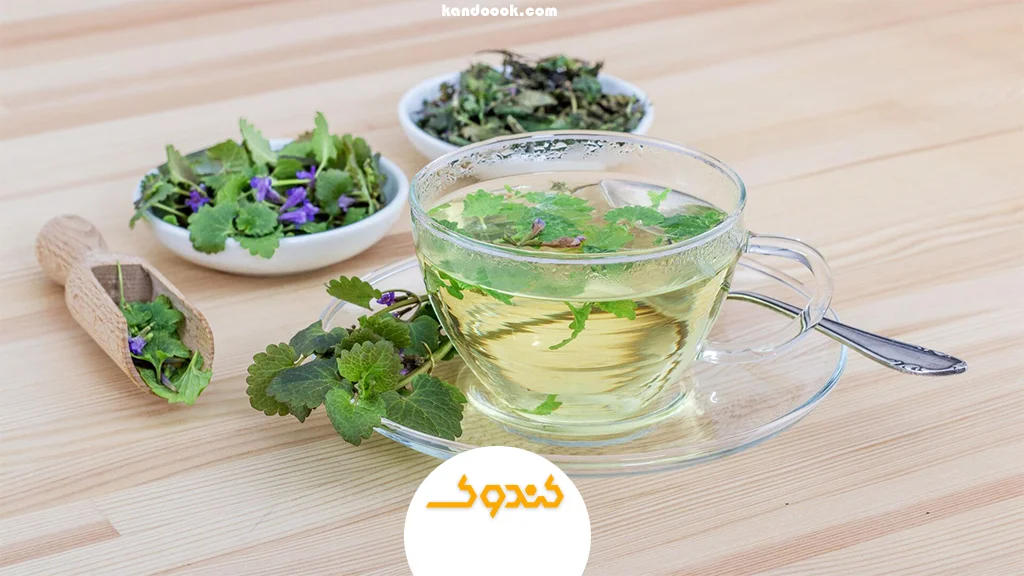 چگونه دمنوش‌های گیاهی به درمان سردی معده کمک می‌کنند؟