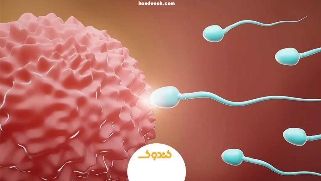 تغذیه نامناسب و ضعف اسپرم