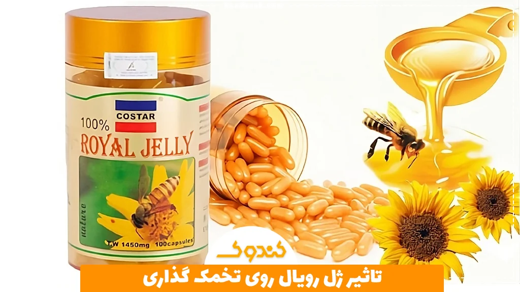 تاثیر ژل رویال روی تخمک گذاری