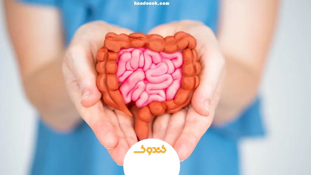 اگر معده و روده را پاکسازی نکنیم چه اتفاقی می‌افتد؟
