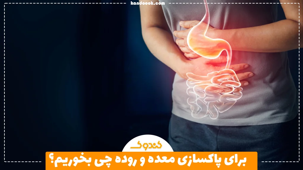 برای پاکسازی معده و روده چی بخوریم؟