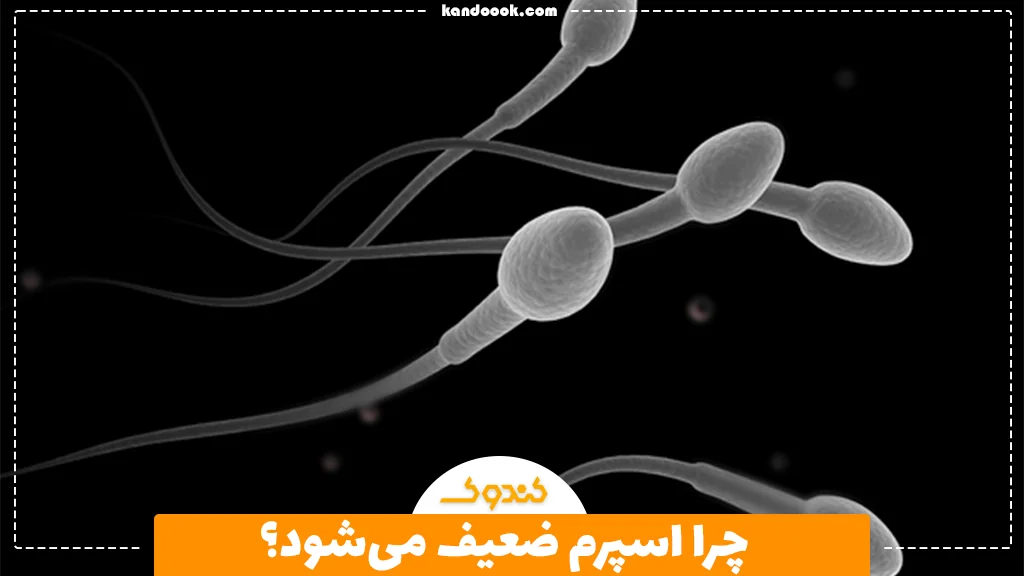 چرا اسپرم ضعیف می‌شود؟