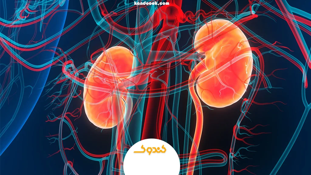 تاثیرات معجون در بدن