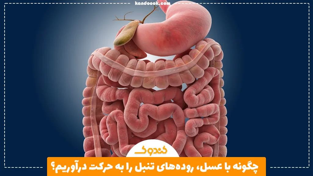 چگونه با عسل، رودههای تنبل را به حرکت درآوریم؟