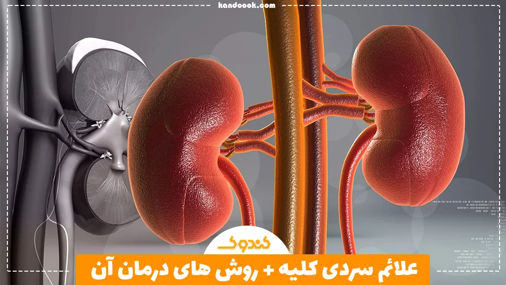 علائم سردی کلیه + روش های درمان آن