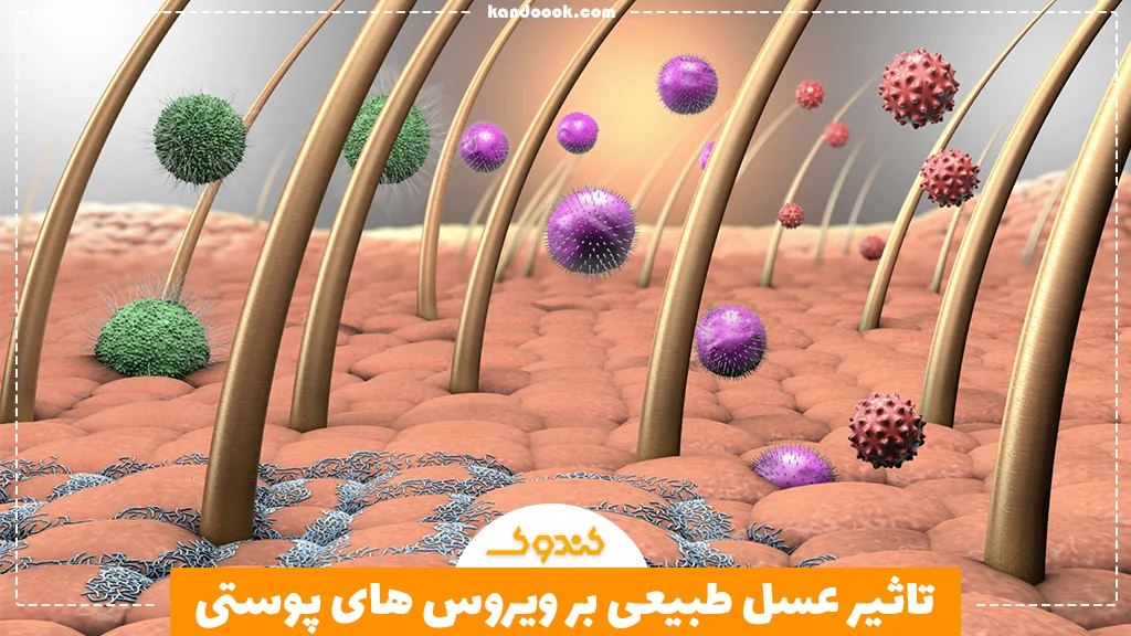 تاثیر عسل طبیعی بر ویروس های پوستی