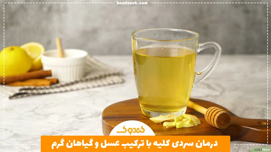 درمان سردی کلیه با ترکیب عسل و گیاهان گرم