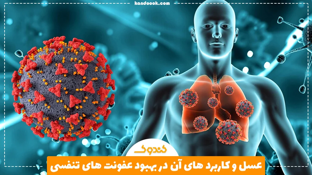 عسل و کاربرد های آن در بهبود عفونت های تنفسی