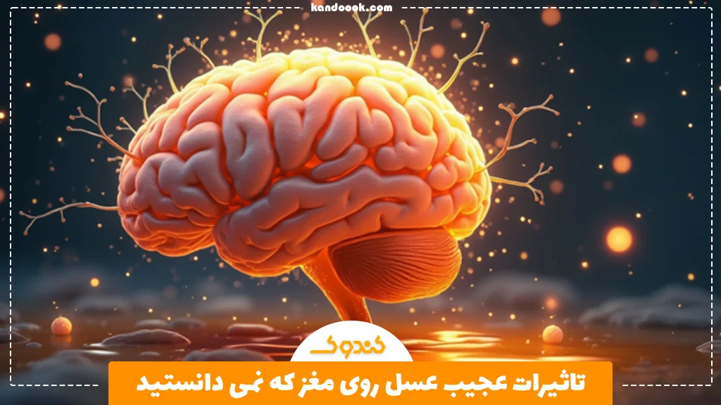 تاثیرات عجیب عسل روی مغز که نمی دانستید!