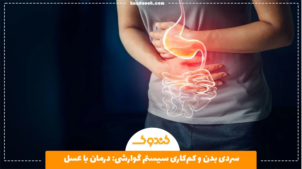 سردی بدن و کم‌کاری سیستم گوارشی: درمان با عسل