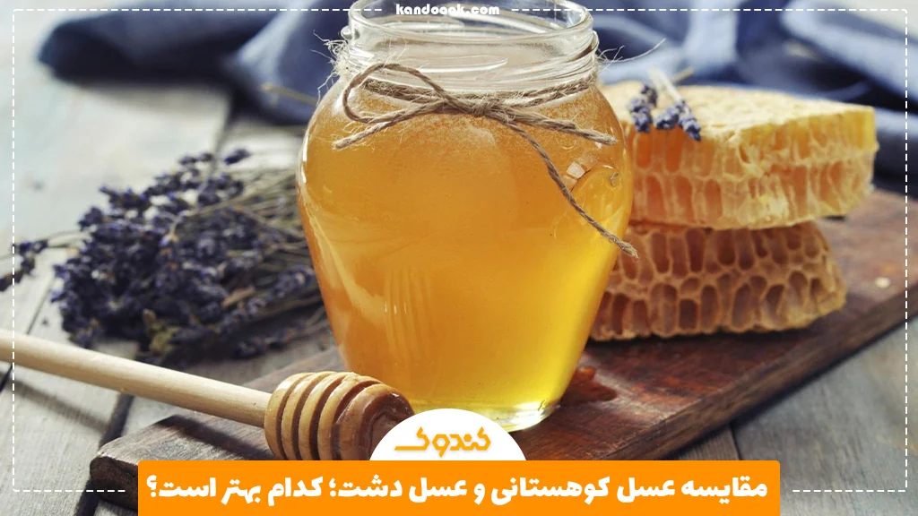 مقایسه عسل کوهستانی و عسل دشت؛ کدام بهتر است؟