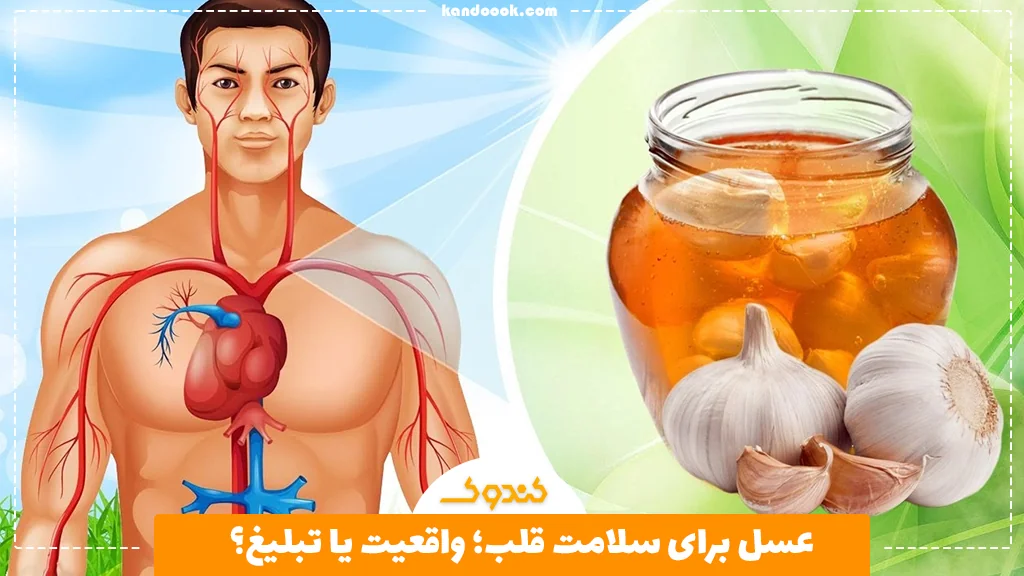 عسل برای سلامت قلب؛ واقعیت یا تبلیغ؟
