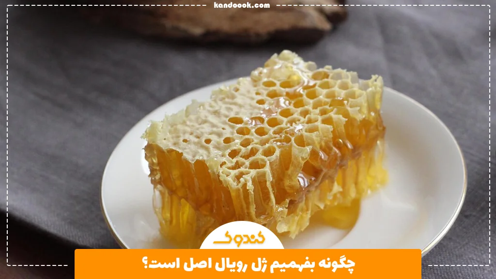 چگونه بفهمیم ژل رویال اصل است؟