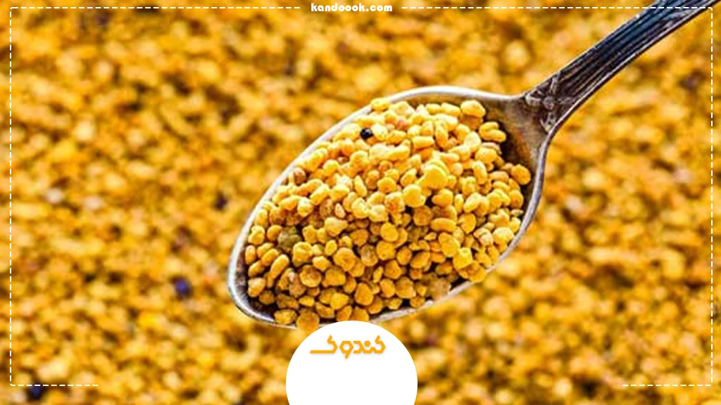 بررسی گرده گل بعنوان سوخت اصلی برای بدن