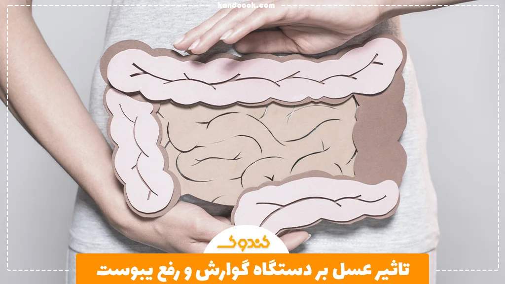 تاثیر عسل بر دستگاه گوارش و رفع یبوست