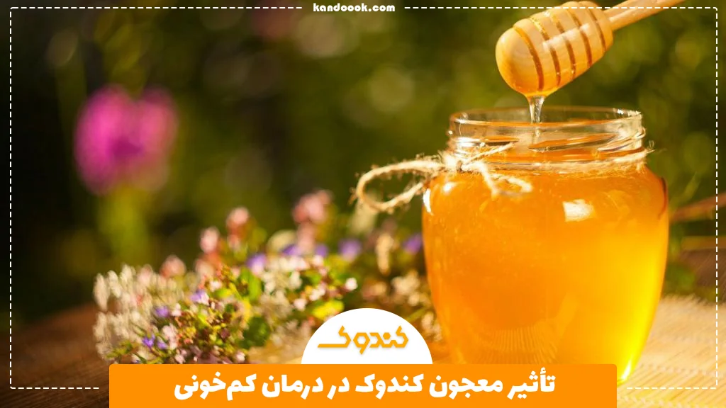 تأثیر معجون کندوک در درمان کم‌خونی