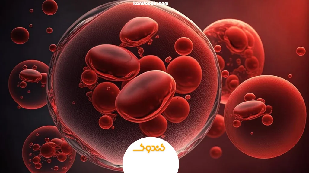رساندن اکسیژن و مواد مغذی به سلول‌ها