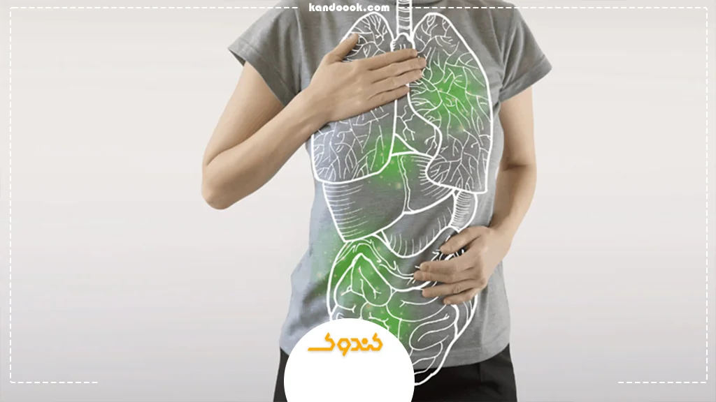 سمزدایی بدن از آلودگیها