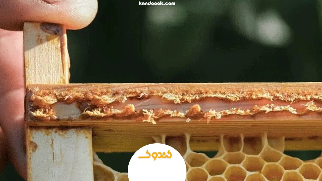 مصرف منظم و دورهای