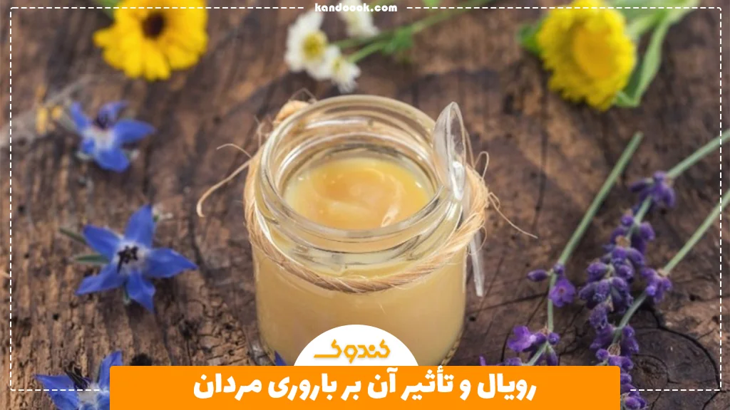 رویال و تأثیر آن بر باروری مردان