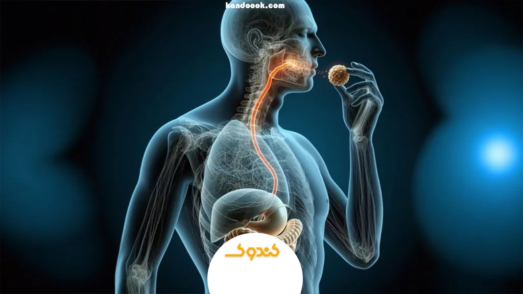 فعال‌سازی آنزیم‌های گوارشی